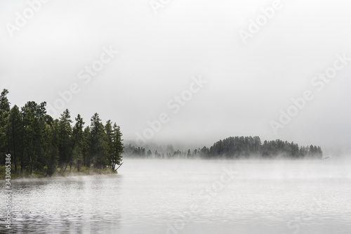 Fog-covered forest on the shore of a mountain lake in the Ulagansky District of the Altai republic, Russia