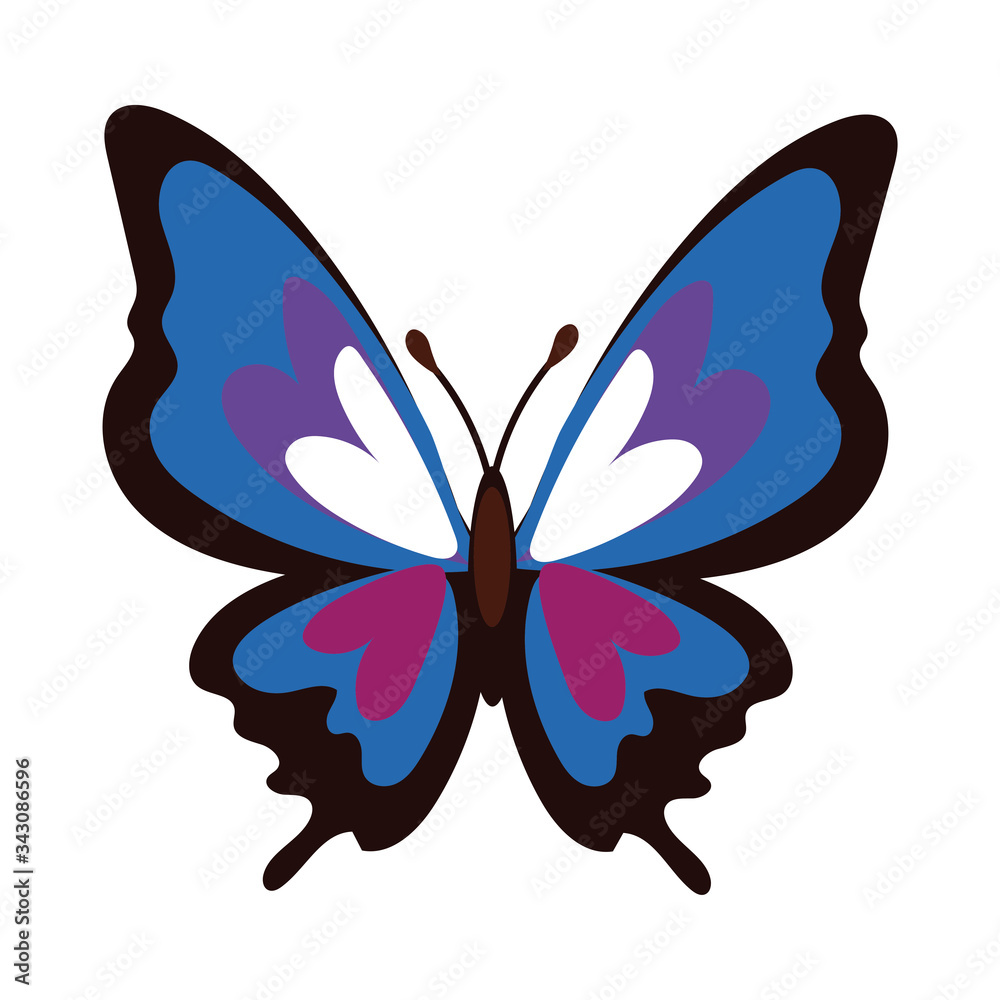 beautiful butterfly purple insect flat style icon beautiful butterfly purple insect flat style icon