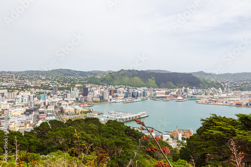 The capital of New Zealand from above. North Island, New Zealand