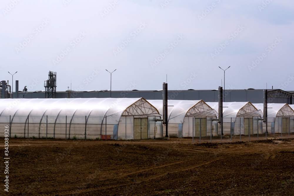 Greenhouse complex for growing vegetables in winter. The concept of development of agriculture, ecology Greenhouse complex for growing vegetables in winter. The concept of development of agriculture, ecology