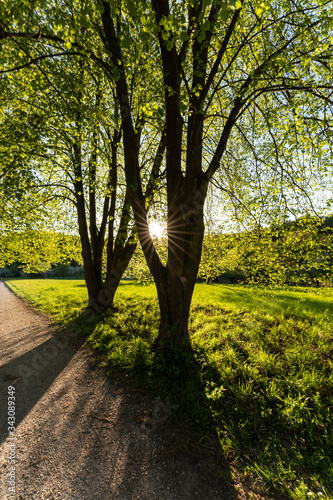 Donaudurchbruch Kehlheim | Wandern in der Weltenburger Enge photo