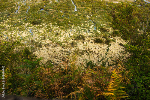 Saint-Brieuc, Brittany, France - September 26 2019: Réserve Naturelle de la Baie de Saint-Brieuc