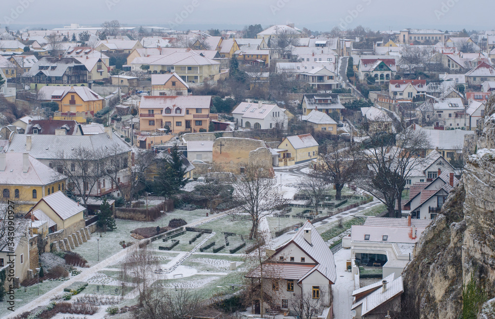 winter small town panorama