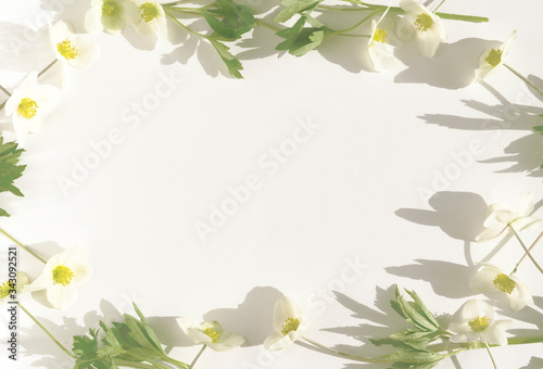 White background with flowers around the edges. Beauty spring background 