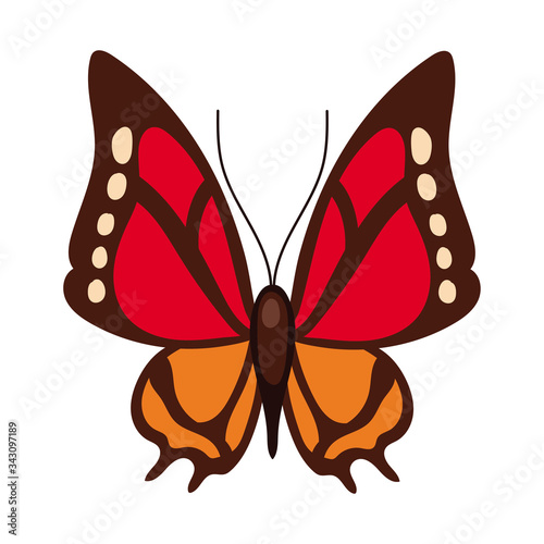 beautiful butterfly insect red flat style icon