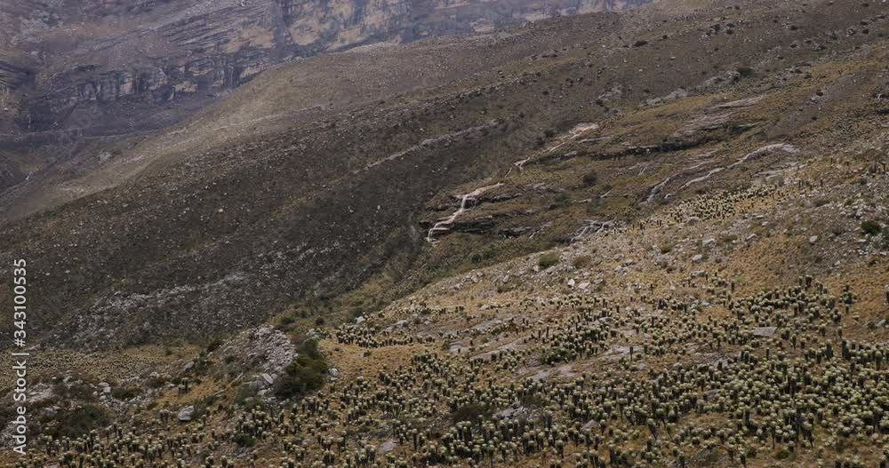 Maountain landscape with paramo vegetation in Boyaca, Colombia, Sierra Nevada del Cocuy range Maountain landscape with paramo vegetation in Boyaca, Colombia, Sierra Nevada del Cocuy range