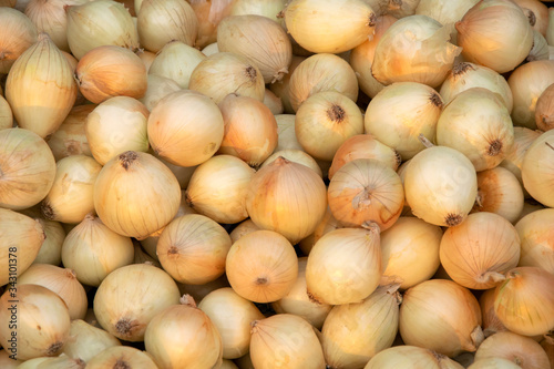 Organic fresh Onions in the market, vegetable background concept.