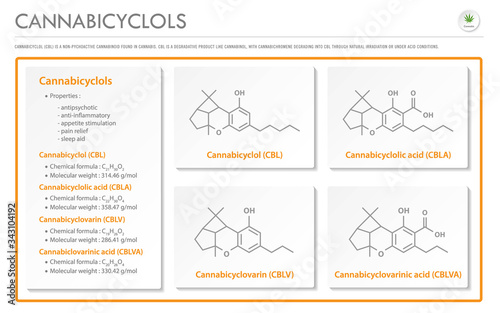 Cannabicyclol CBL with Structural Formulas horizontal business infographic illustration about cannabis as herbal alternative medicine and chemical therapy, healthcare and medical science vector.