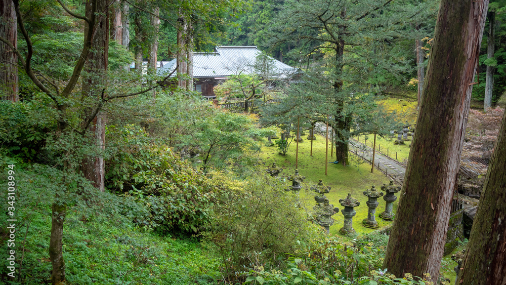 Beautiful scene of fresh green trees and stone lanterns in japanese temple garden , Nikko , Tochigi , background , copy space Beautiful scene of fresh green trees and stone lanterns in japanese temple garden , Nikko , Tochigi , background , copy space