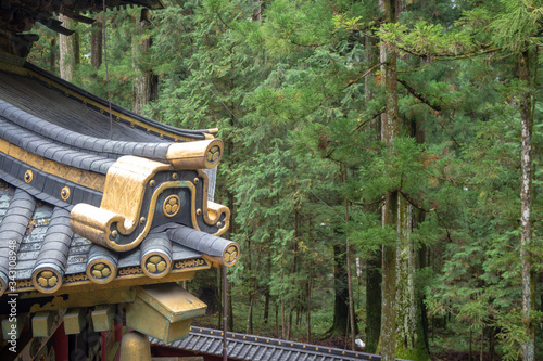 Beautiful japanese temple roof with fresh green forest for background , copy space , Nikko , Tochigi