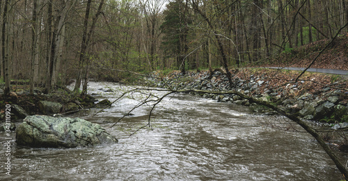 Landscapes near my home