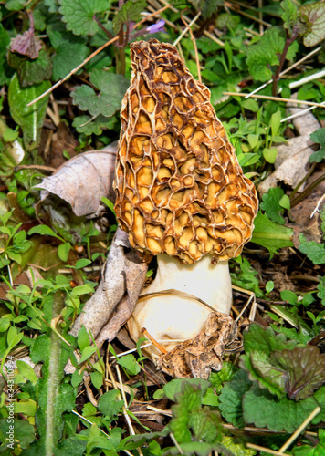 Assorted nature photos from West Chester