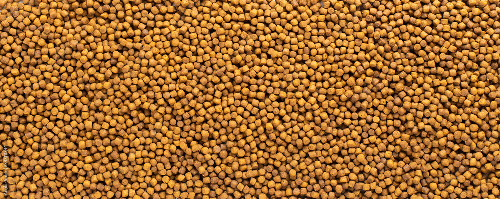 Above or Top view of animal food. Brown Dried dog food on white background. Grain pet food banner background with copy space for text design. Above or Top view of animal food. Brown Dried dog food on white background. Grain pet food banner background with copy space for text design.