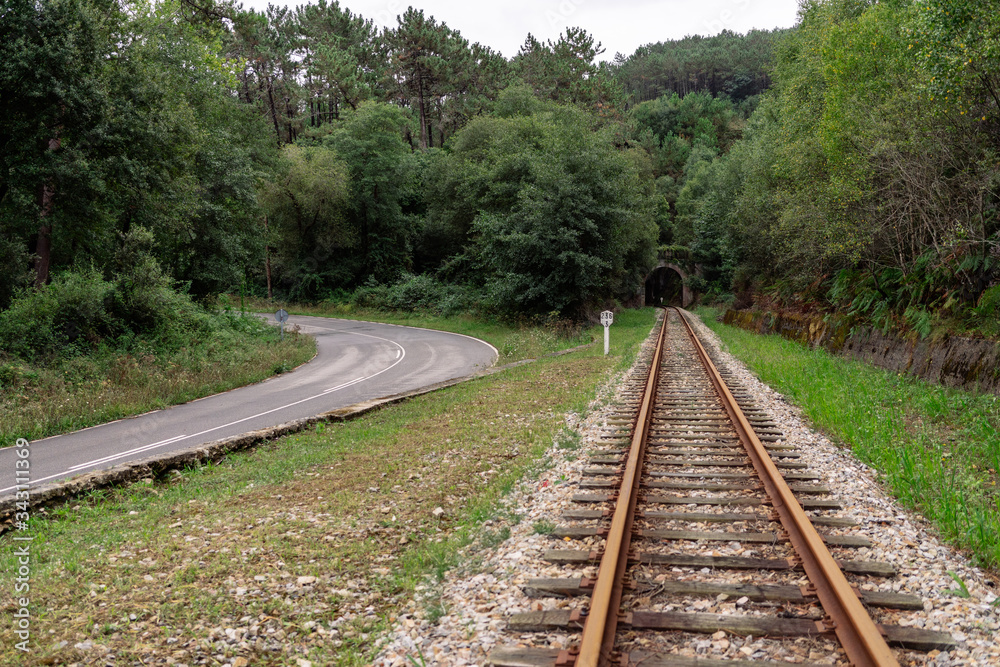 A road and a train track with vegetation