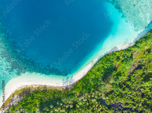 Tela Aerial top down view tropical paradise pristine beach rainforest blue lagoon bay