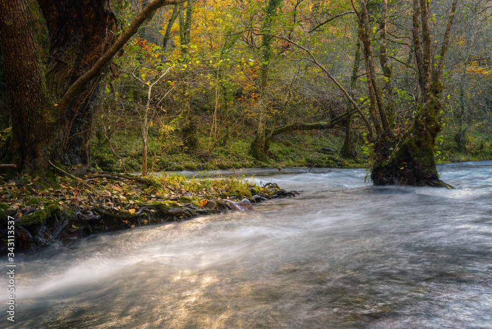 Delicious Golden Reflections in the Stream of a River Delicious Golden Reflections in the Stream of a River