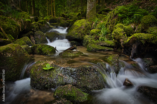 Fototapeta Naklejka Na Ścianę i Meble -  Wasserfälle im Schwarzwald