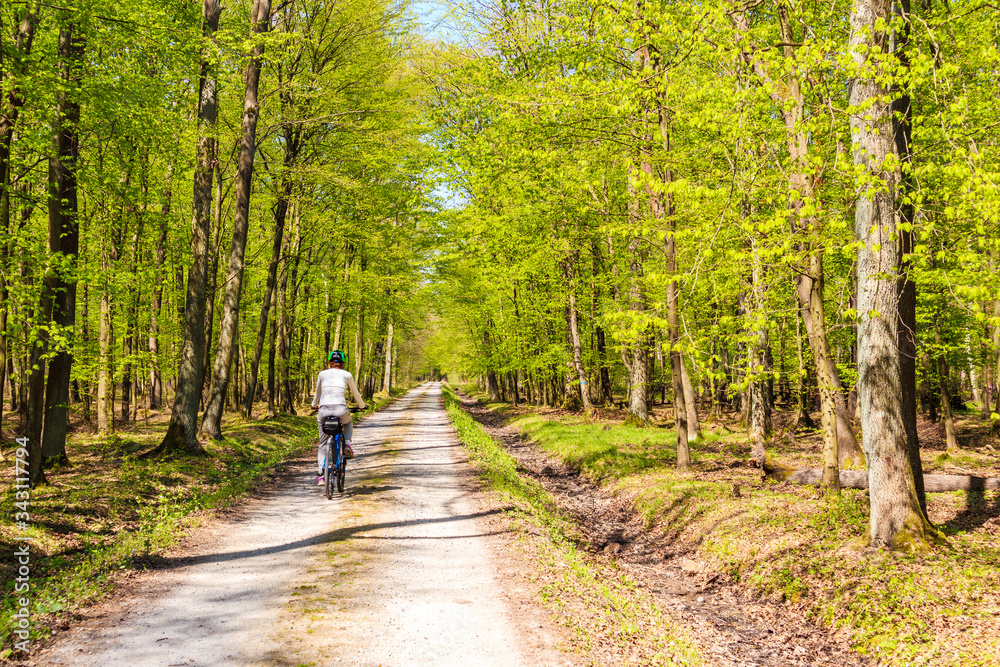 Young woman tourist cycling on road in forest on sunny spring day in Puszcza Niepolomicka near Krakow city, Poland Young woman tourist cycling on road in forest on sunny spring day in Puszcza Niepolomicka near Krakow city, Poland