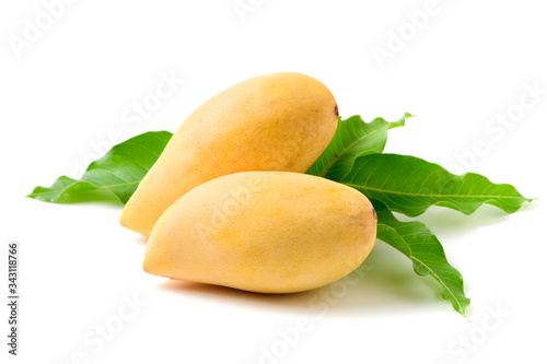 Delicious two ripe yellow mango with green leaf isolated