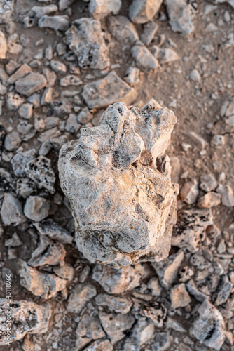 Closeup photo of a large rock and gravel background