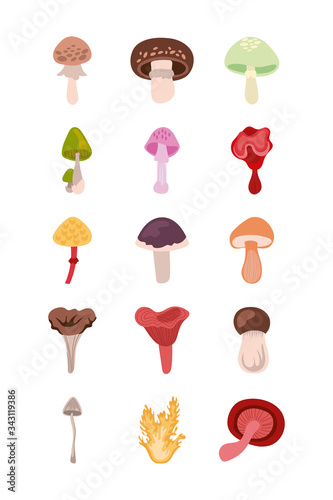 bundle of fungus set icons
