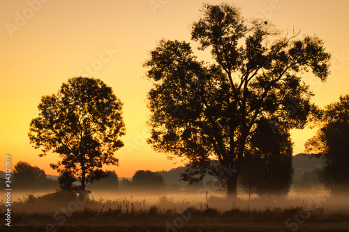 Wallpaper Mural Golden Sunset Torontodigital.ca