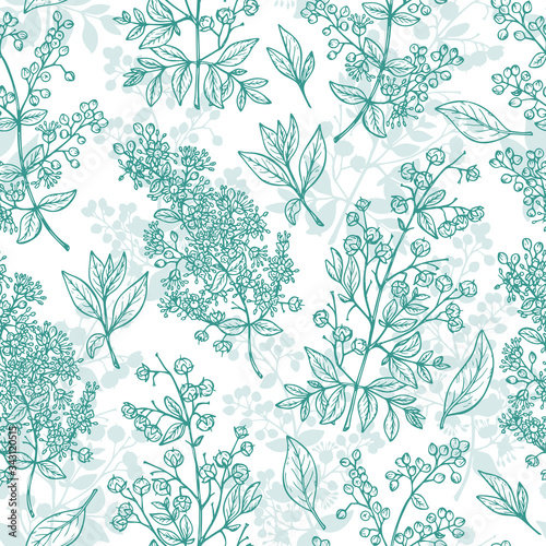 Medicinal plants Vector Seamless pattern. Henna (Lawsonia inermis) plant: Branches, Flower buds, Flowers, Seeds, Fresh Leaves. Alternative medicine Floral background
