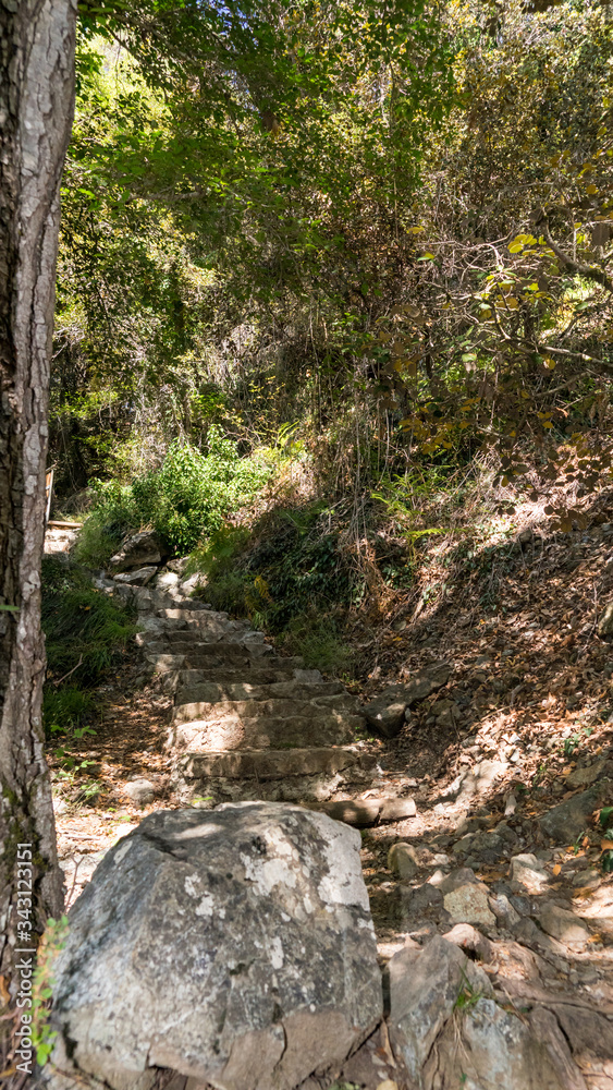 Stairways in forest of Cyprus, close to Mountain Troodos, Cyprus Stairways in forest of Cyprus, close to Mountain Troodos, Cyprus