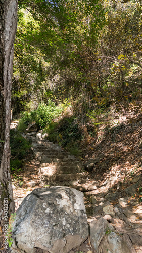 Stairways in forest of Cyprus, close to Mountain Troodos, Cyprus