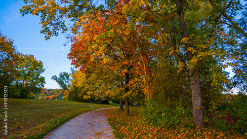 Wundersch  ne goldene Herbstlandschaft bei Sonnenschein in Regensburg