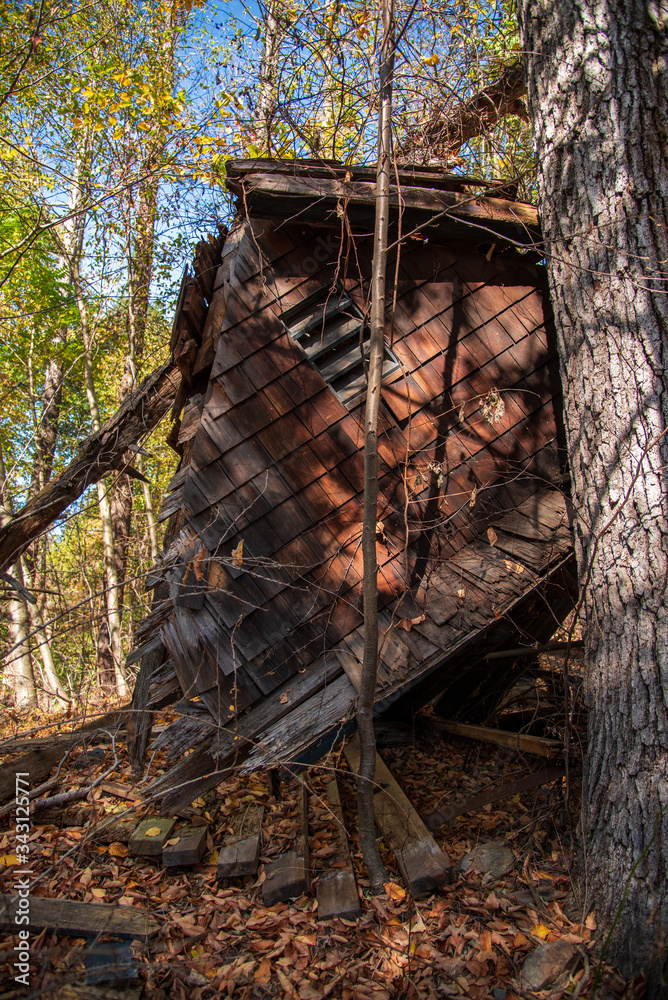 Abandoned house in the Forest Abandoned house in the Forest