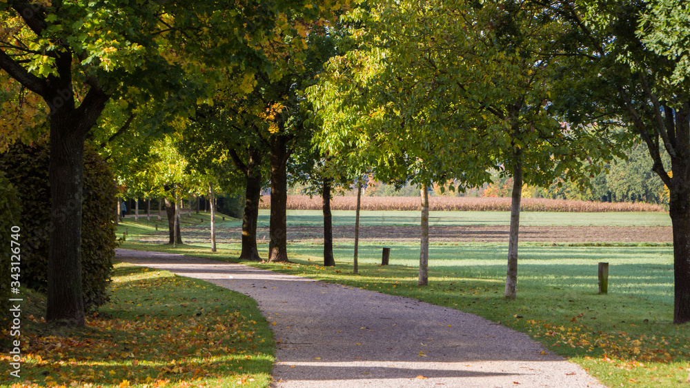 Obraz premium Wunderschöne goldene Herbstlandschaft bei Sonnenschein in Regensburg