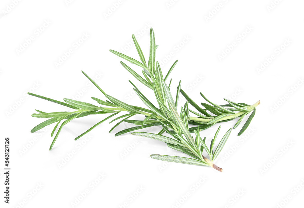 Rosemary isolated on white background.