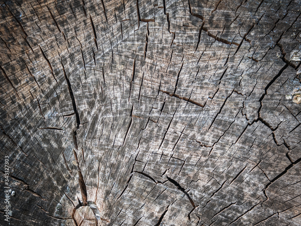 Fototapeta premium Wood background texture. Useful background with grounge style.