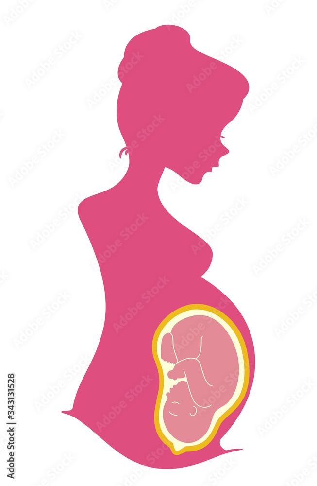 Silhouette Woman Pregnant Womb Baby Illustration