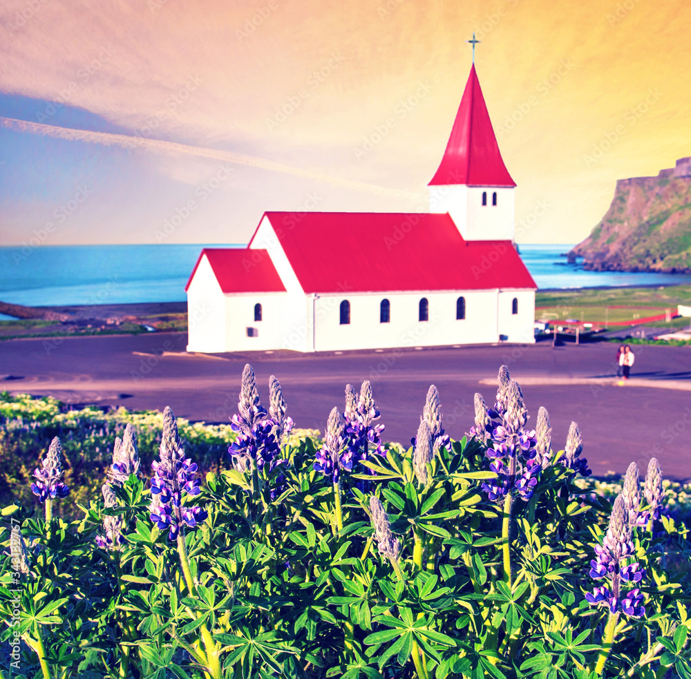 The famous Vik church (Vikurkirkja) and lupine flowers in Iceland. place of pilgrimage. Impressive landscape. Exotic countries. Amazing places.