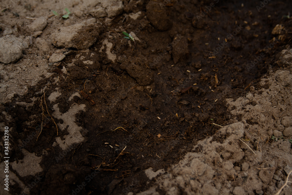 Seeds in the ground Seeds in the ground