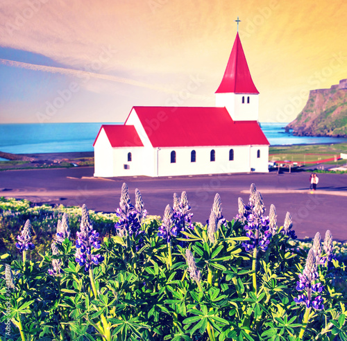 Obraz na płótnie The famous Vik church (Vikurkirkja) and lupine flowers in Iceland. place of pilgrimage. Impressive landscape. Exotic countries. Amazing places. w salonie