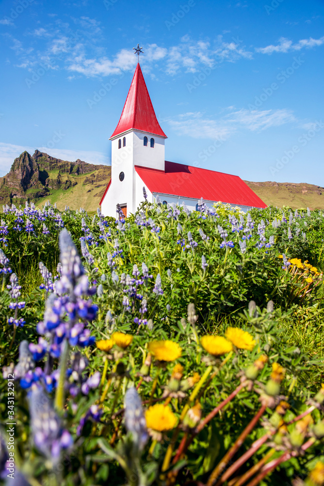 The famous Vik church (Vikurkirkja) and flowers of lupine in Iceland. place of pilgrimage. Impressive landscape. Exotic countries. Amazing places.