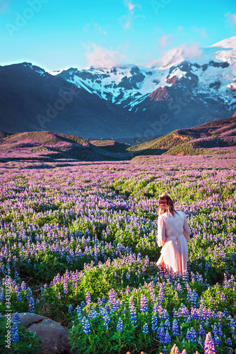 Obraz na płótnie Beautiful landscape with a woman in a dress between lupine flowers on a background of mountains in Iceland. Magical places. Exotic countries. w salonie