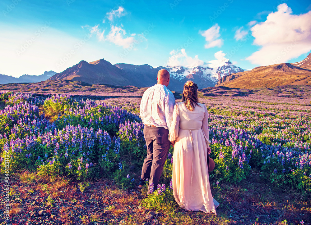 Beautiful landscape with oung couple in lupine flowers on a background of mountains in Iceland. Magical places. Exotic countries.