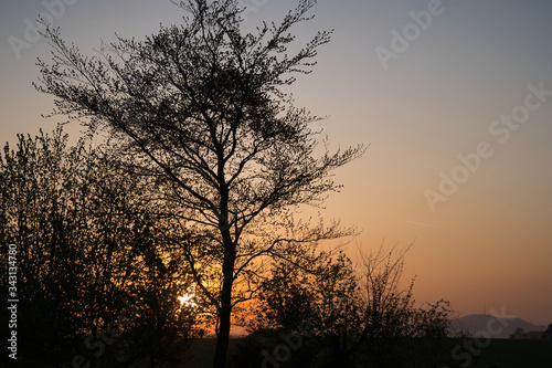 Romantischer Sonnenaufgang, Sonnenuntergang auf dem Land - oranger Himmel, Bäume und Äste als Schatten, im Hintergrund der Hesselberg 