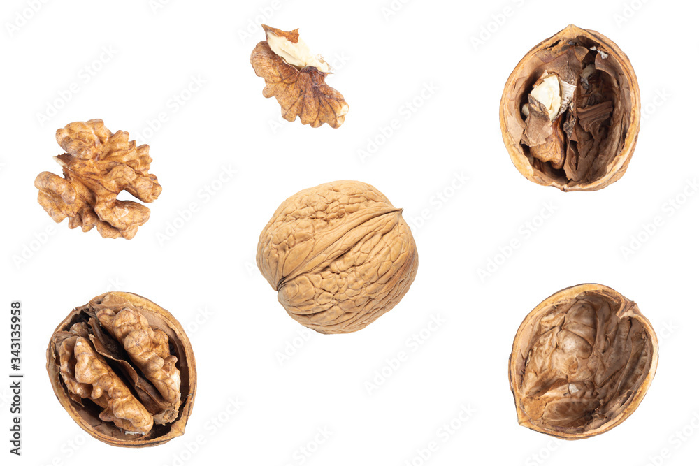 Different walnuts isolated on the white background Different walnuts isolated on the white background
