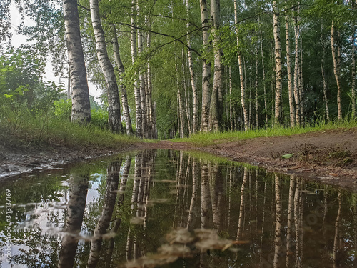 Yaroslavl. Warm evening in Neftyanik Park. Park refinery. Reflection of colorful sunset in the lake. Peace and quiet surrounded by green trees photo