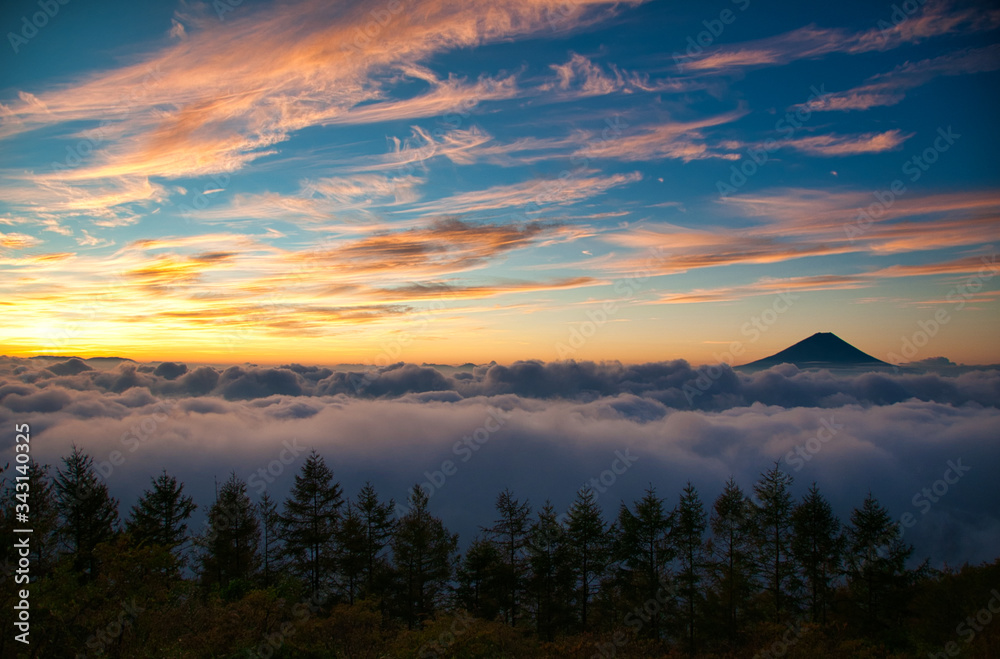 富士山, 雲海, 朝焼, 風景, 日の出