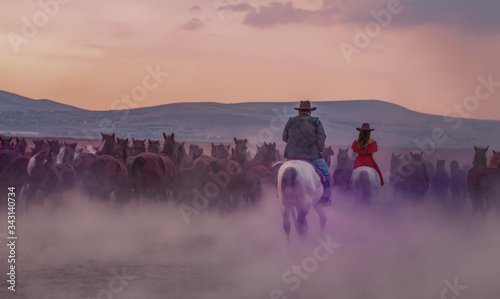 Back view of western cowboy and cowgirl riding horses in dusts in the evening © Bilal