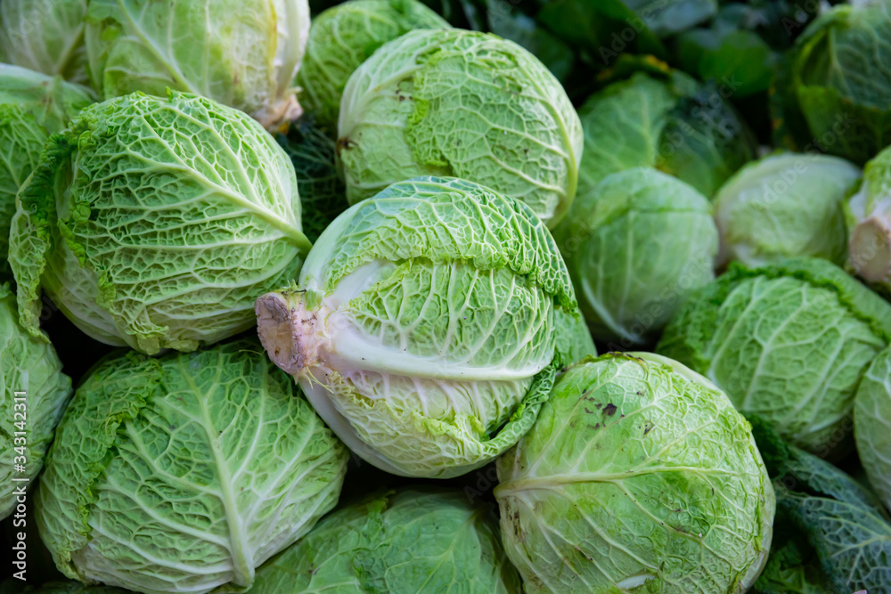 Fototapeta premium Fresh organic salad and cabbage in greengrocery shop