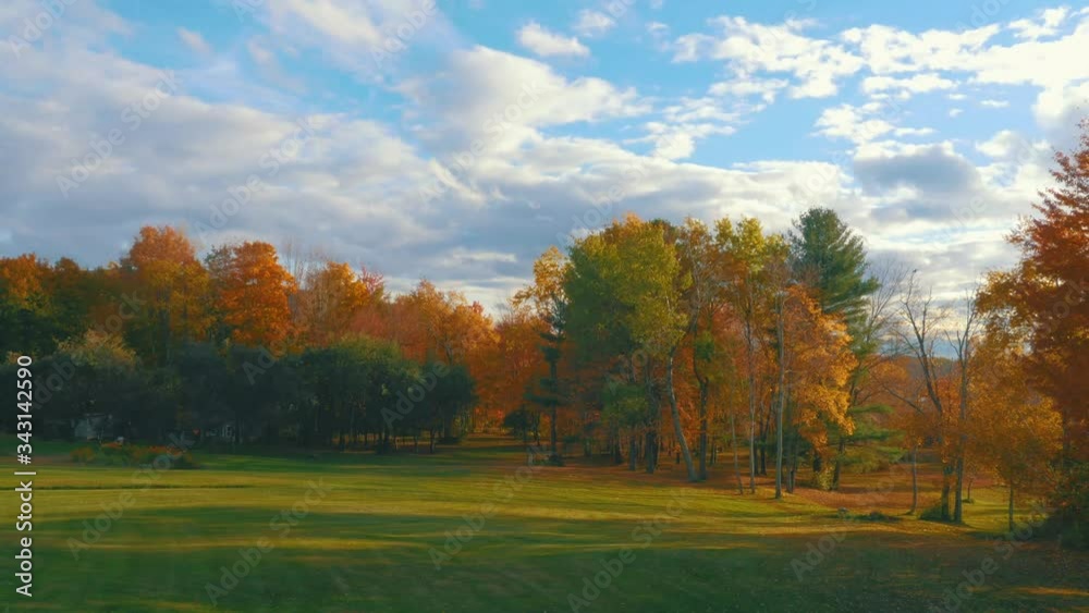 4K Timelapse - Perfect Field With Fall Trees and Cloudy Blue Sky 4K Timelapse - Perfect Field With Fall Trees and Cloudy Blue Sky