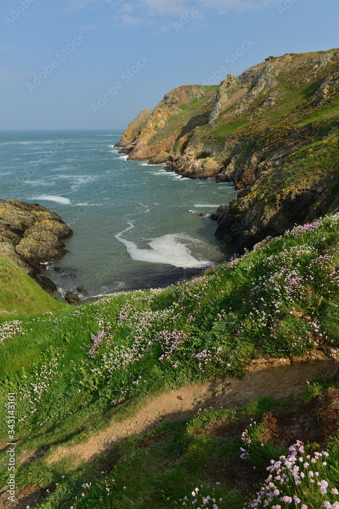 Le Pulec, Jersey, U.K. Coastal Spring landscape.