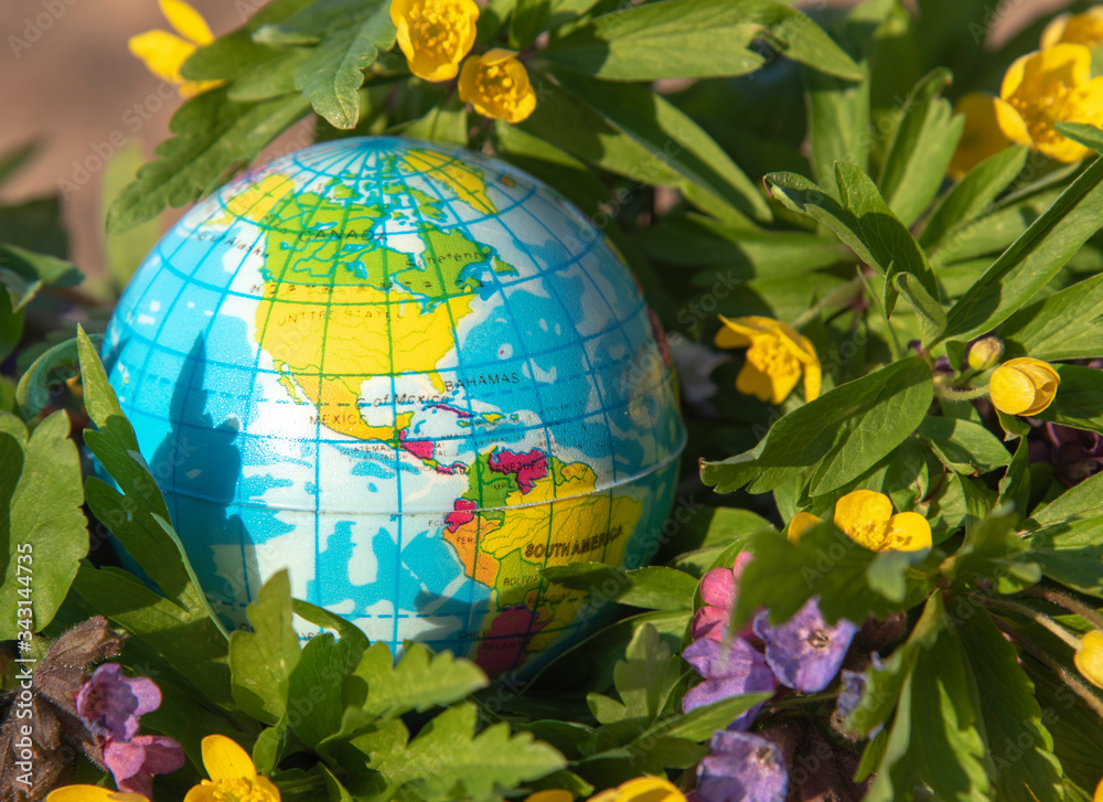 A small globe surrounded by bright multicolored forest flowers.